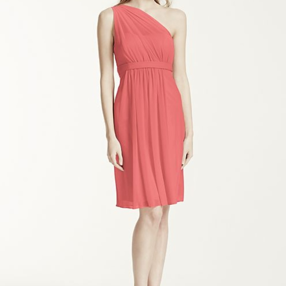 Davids Bridal bridesmaid dress size 20 Color Guava